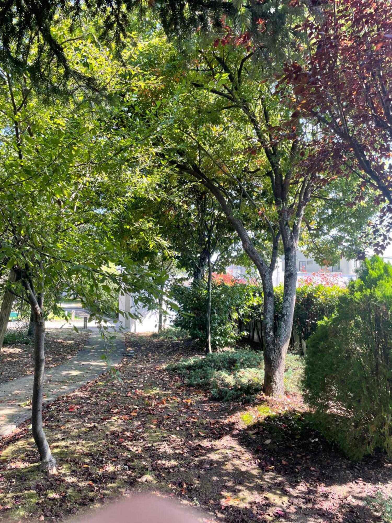 Casa De Lamacais Séjour à la campagne